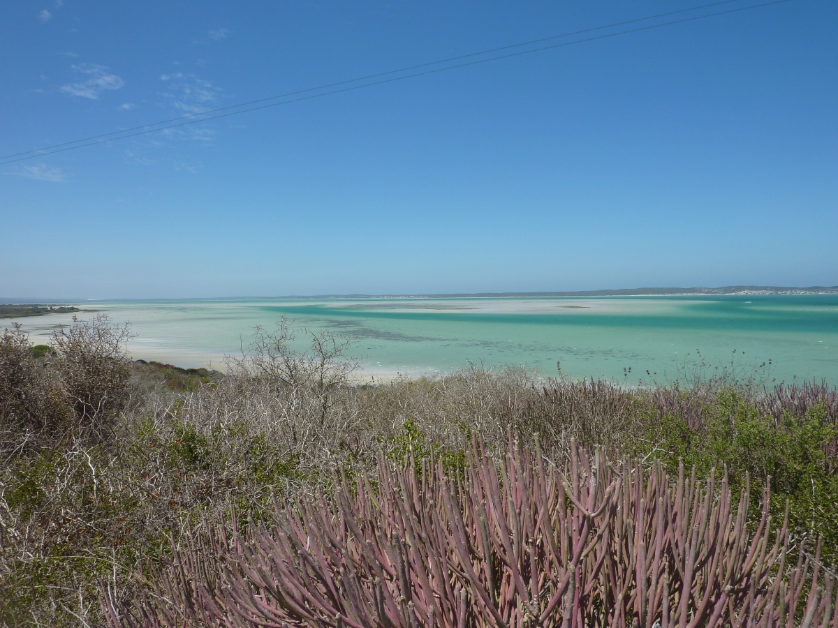 Langebaan & Shark Bay
