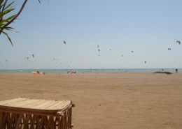 Mangroovy Beach El Gouna Kitesurfing