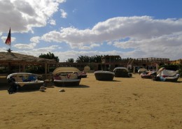 Buzzha Beach Kiteboarding El Gouna